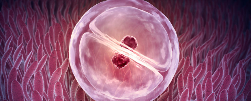 Parto en Casa, con mamá, papá y bebé.